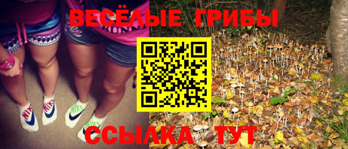 Прокопьевск  Галлюциногенные грибы Psilocybe  купить наркоту  Вход с VPN  Псилоцибиновые грибы ЛСД 
